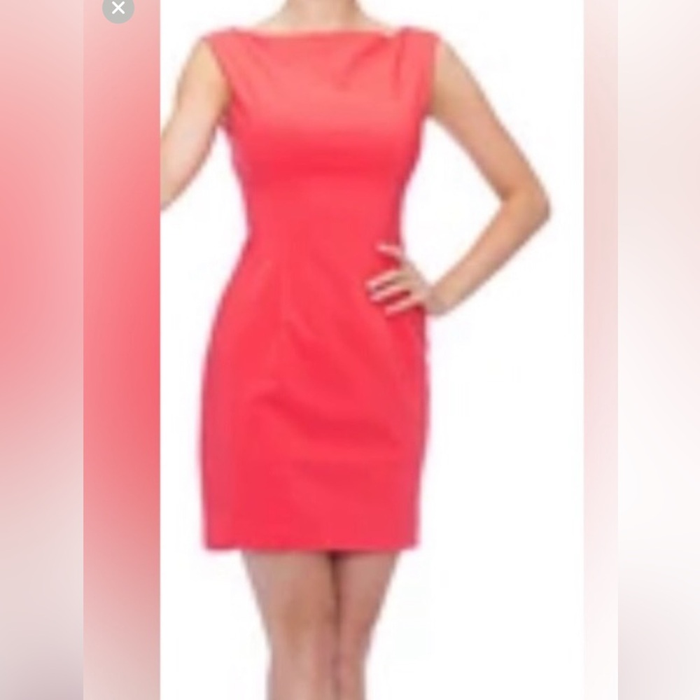 Paprika Tone Fitted Mini Dress W/Cap Sleeves & Pockets